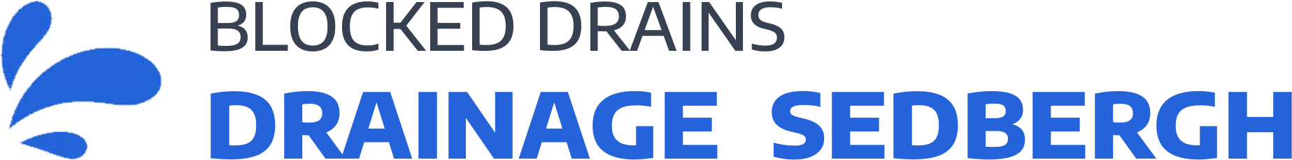 website logo